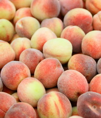 tas de pêches de vignes,récolte de jardin