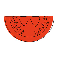 Sliced tomato vegetable vector icon vector illustration graphic design