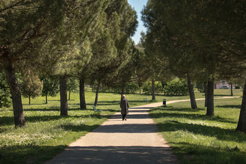 grandma walks alone at the park, loneliness concept elderly abandonment