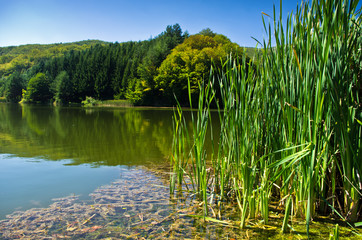 Lake at morning sunshine in Semenic national park, Banat region, west Romania