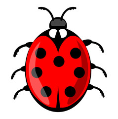 Cute ladybug cartoon isolated on white background. Vector ladybird illustration, decorative red beetle with seven dots on his wing case