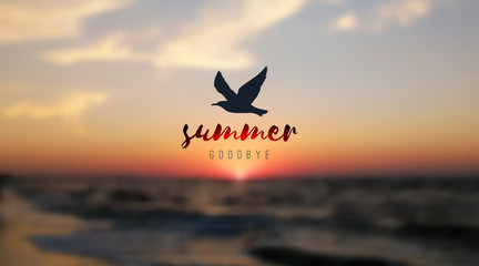 sunrise seascape and seagull