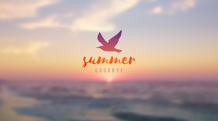 sunrise seascape and seagull