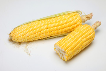 Corn on white background