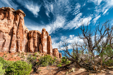 Falaises et roche rouge dans Monument Canyon,  Colorado National Monument.