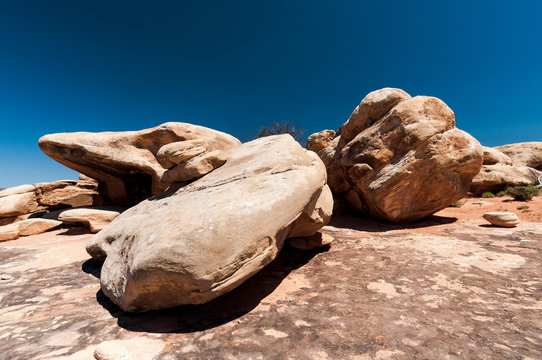 Rochers de pierre rouge dans le secteur des Needles, Canyonlands National Park