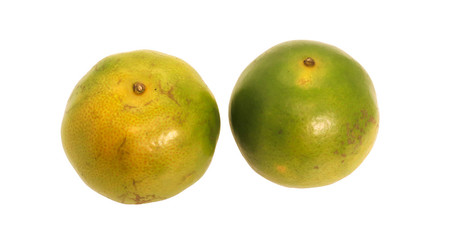Green of Two thai orange fruit with green leaf
