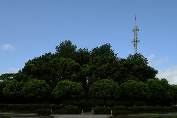 Cellular or mobile antenna tower in the big green park on blue sky day