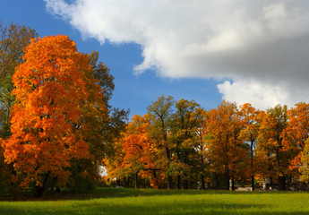 Autumn landscape