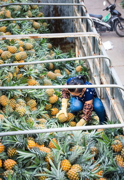 Vietnamese worker in Hanoi unpacking truck with pineapple fruits