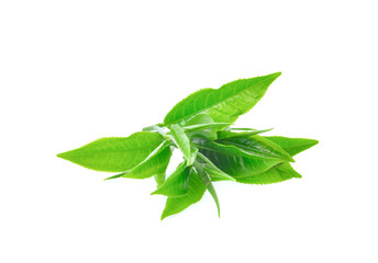 Obraz premium green tea leaves on white background