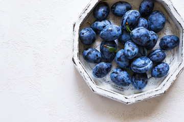 Dark blue plum in white tray on a white background