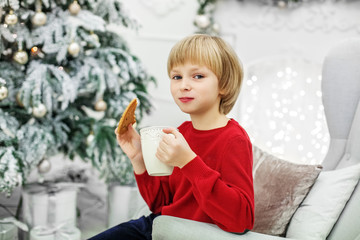 The child eats cookies and drinks milk. Boy. The concept of Christmas and New Year.