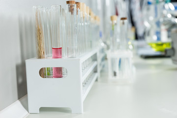 Close up of chemical test tubes in laboratory