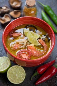 Red bowl with spicy green curry thai soup, selective focus, closeup, studio shot
