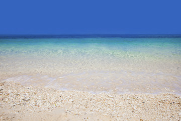 Fototapeta na wymiar Wave of sea on sandy beach