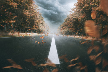 Herbst-Sturm auf einer Landstraße