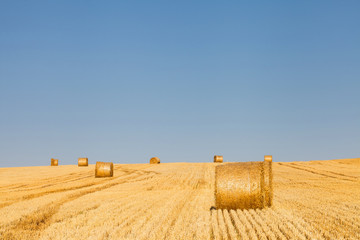 Bales of hay in rural field under beautiful blue sky
