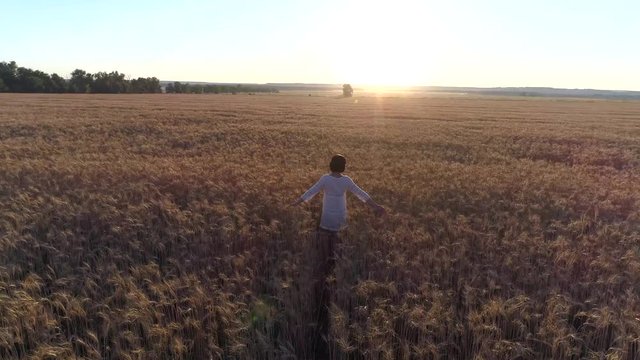 Aerial photography Girl running cross the wheat field at sunset. Slow motion, high speed camera