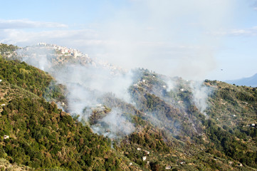 incendio sulle montagne sotto il paese di Bellegra nel lazio