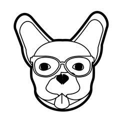 Hipster french bulldog of dog pet and animal theme Isolated design Vector illustration