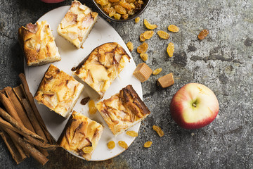 A simple homemade pie with apples and sour cream on a gray background with cinnamon sticks, an apple, caramel sweets. Top view. Selective focus.