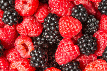 Background of delicious blackberries and raspberries. Decorative red and black texture from juicy forest fruits.