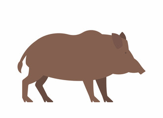 Wild boar