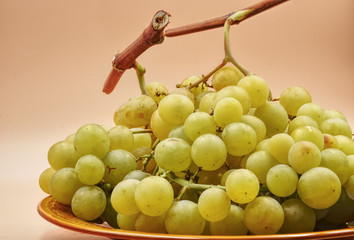 A big bunch of white green grapes with light orange background. HDR effect.