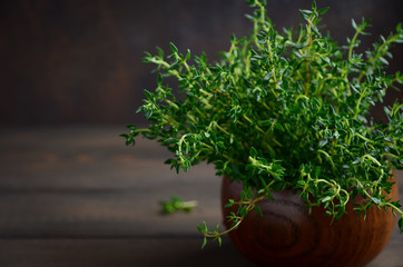 Fresh thyme on wooden background, selective focus, copy space