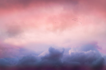 Birds flying in the key formation on the nostalgic sky.