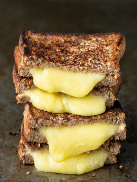 rustic american grilled cheese sandwich