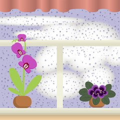 window with Raindrops