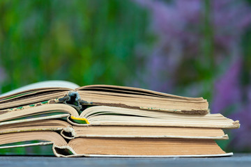 a stack of books lies on a wooden table on a background of nature