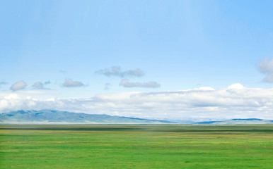 Fototapeta premium Peaceful meadow