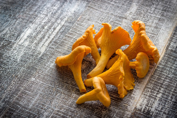 Raw chanterelle mushroom on a wooden background