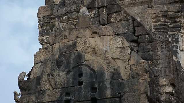 Wild monkeys in Phra Prang Sam Yod (Monkey Temple) in Lopburi, Thailand
