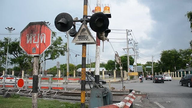 Wild monkeys at the railway crossing in Lopburi city, Thailand