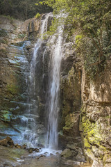Fototapeta na wymiar waterfall in botanical garden of Tbilisi