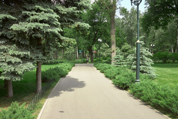 Spring Summer. Warm sunny day in the park. A young girl walks along the path near the green trees