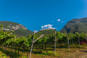 Castel Beseno in Trentino durante una vacanza in estate