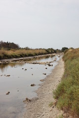 Pond