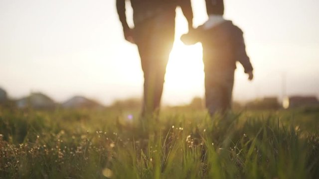 Young man and little boy walking on magnificent field backside holding hands slow motion. Concept of friendly family.