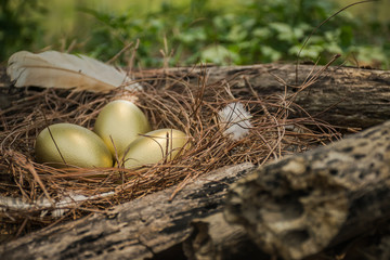 Easter background golden eggs