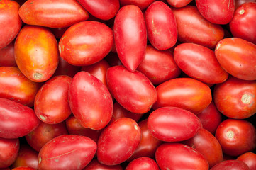 organic farm tomatoes crop background  top view