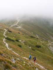 Fototapeta premium People with backpacks go on the road in the mountains.