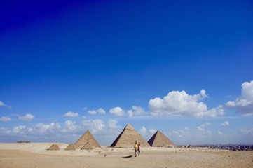 Fototapeta na wymiar エジプト　ギザの三大ピラミッド