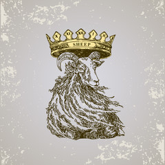 Chinese horoscope. Sheep. Sketch tattoo. Vector illustration.