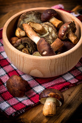 Forest mushroom in wooden bowl.