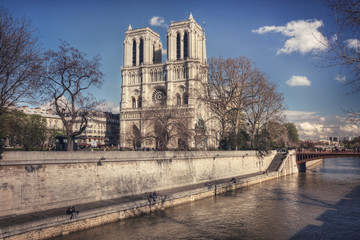 Fototapeta na wymiar Notre-Dame on a sunny spring day